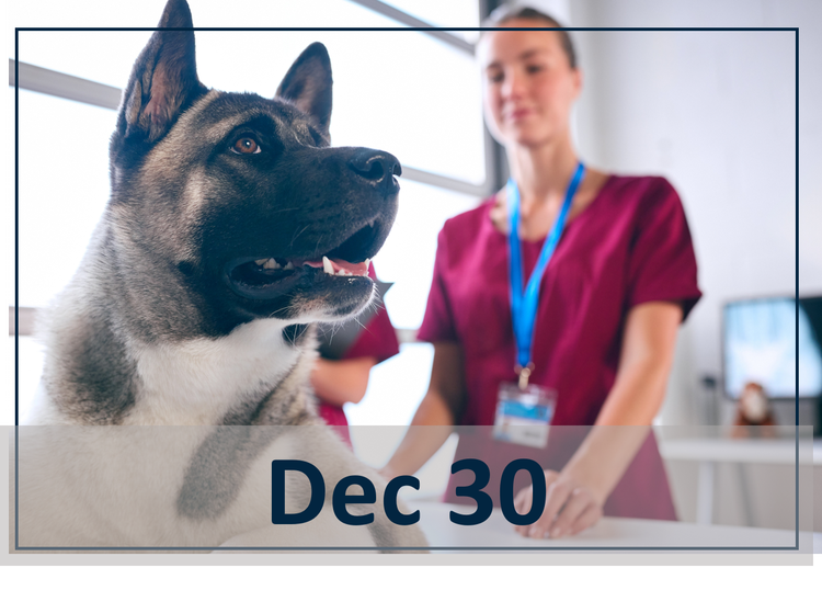 Lean into the New Year: Smarter Weight Plans for OA Patients Dec 30 webinar header