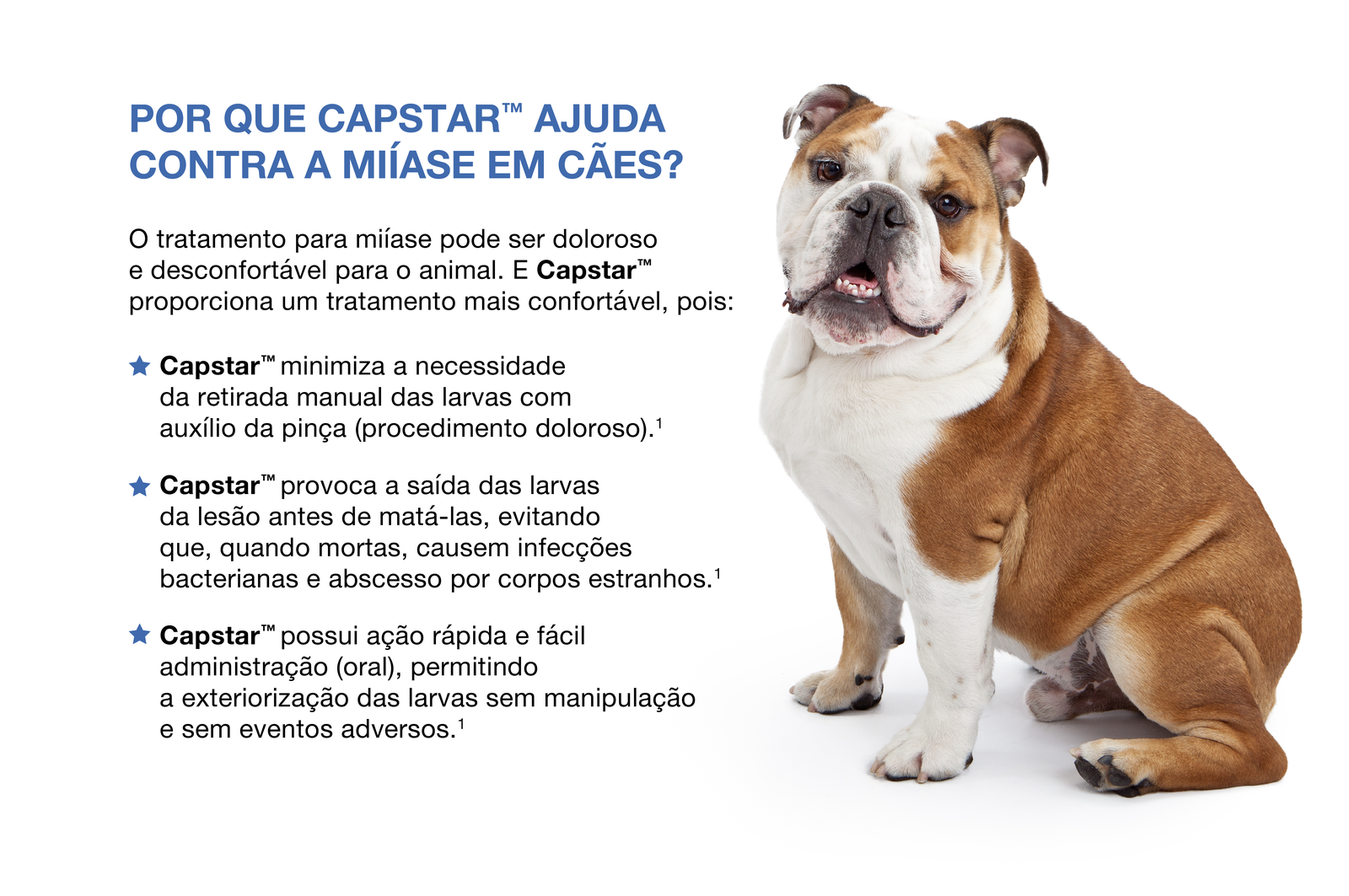 Porque Captsra ajuda contra Miiase em cães