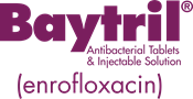 Baytril® (enrofloxacin) antibacterial tablets and injectable solution
