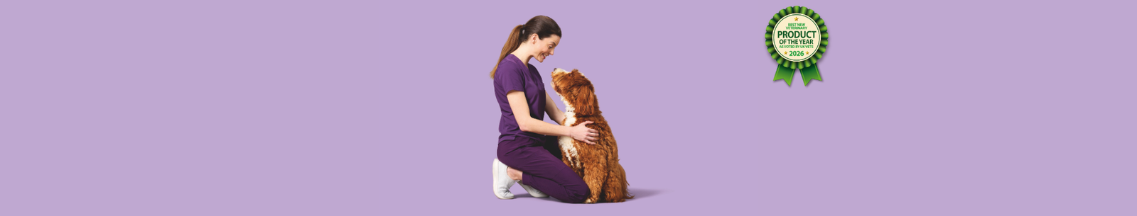 A woman and a dog sitting down and looking at each other