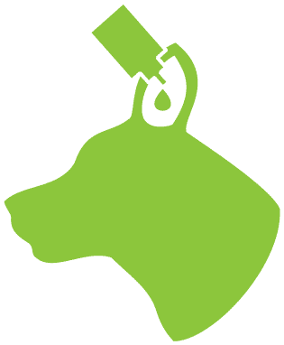 Aplicar Surosolve™ em quantidade suficiente para umedecer o conduto auditivo externo do animal