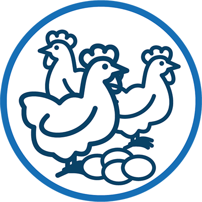 Poultry icon