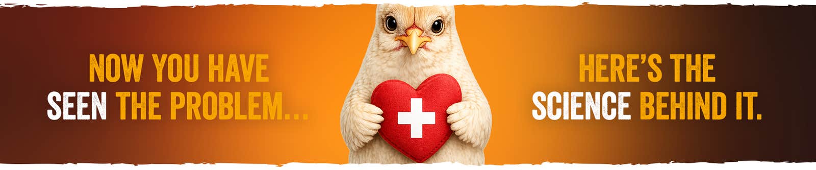 Health banner with a chicken holding a heart