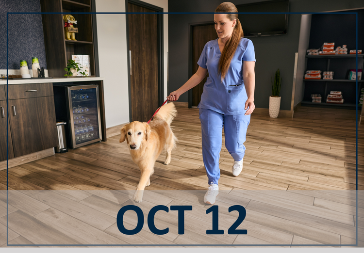 October 12th