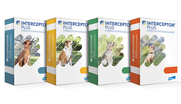 Four weight-coded boxes of Interceptor Plus for dogs. The color-coded packaging (blue, yellow, green, and orange) covers a range of dog sizes and features photos of different breeds.