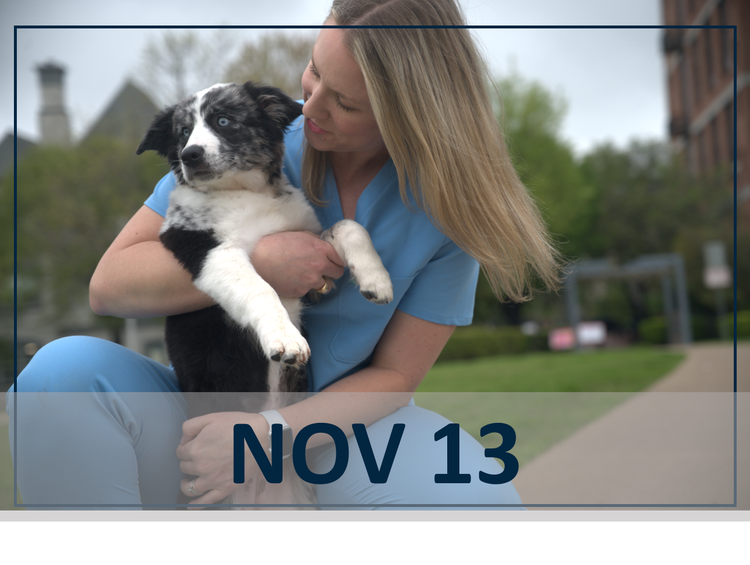 Nov 13 Parvovirus webinar