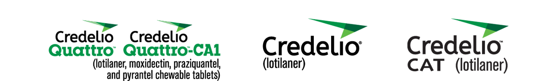 Credelio product logos for Quattro, Quattro-CA1, Dog, and Cat formulations, including listed active ingredients lotilaner, moxidectin, praziquantel, and pyrantel.
