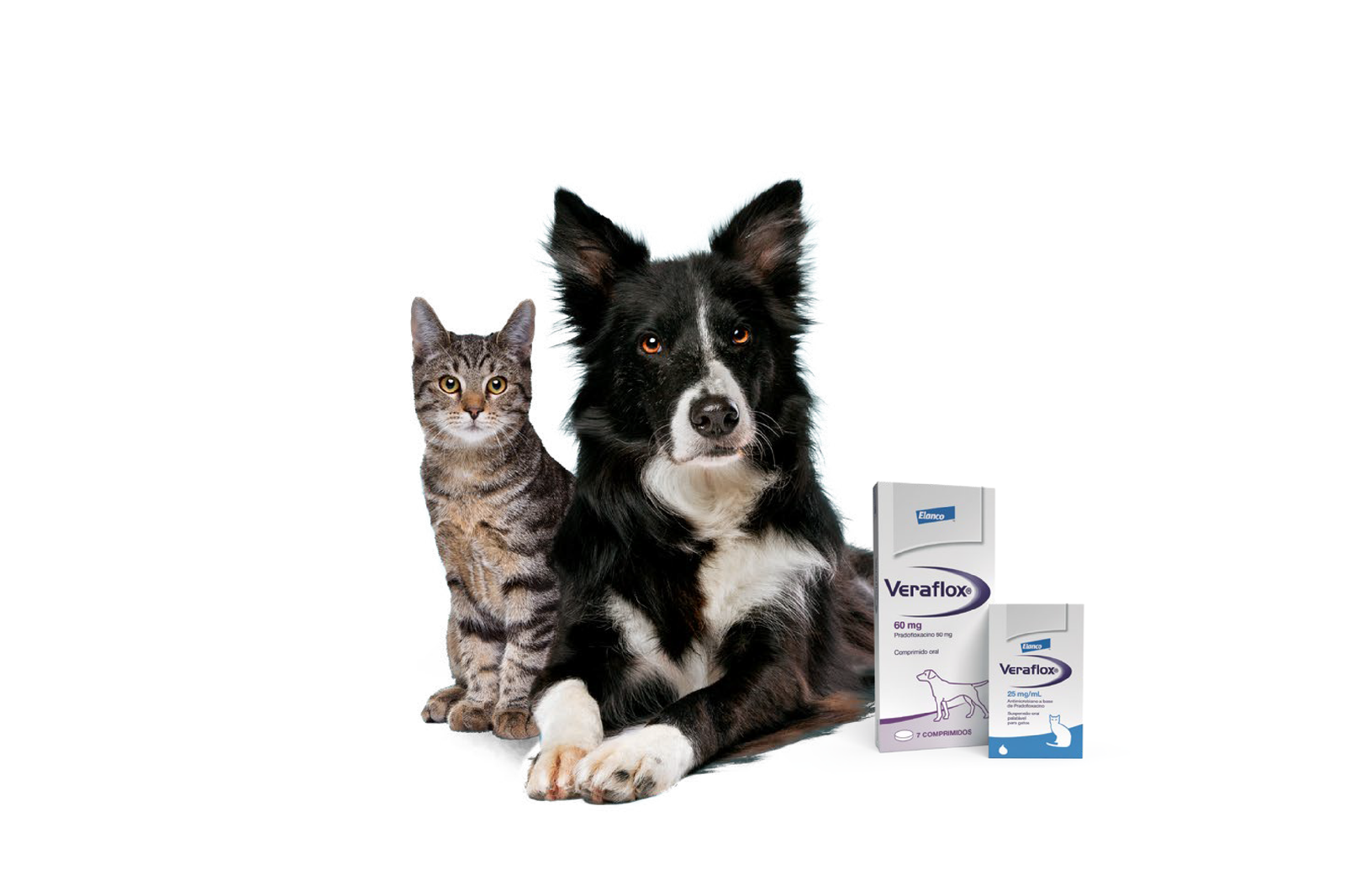 Cachorro e gato ao lado da embalagem de Veraflox