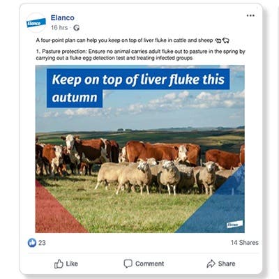 Elanco liver fluke social post