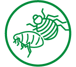 DAPP (Dermatite Alérgica à Picada de Pulga)