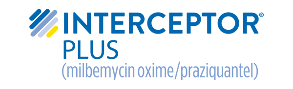 Elanco Interceptor Plus (milbemycin oxime/praziquantel) logo in blue text with a diagonal striped blue and yellow icon.