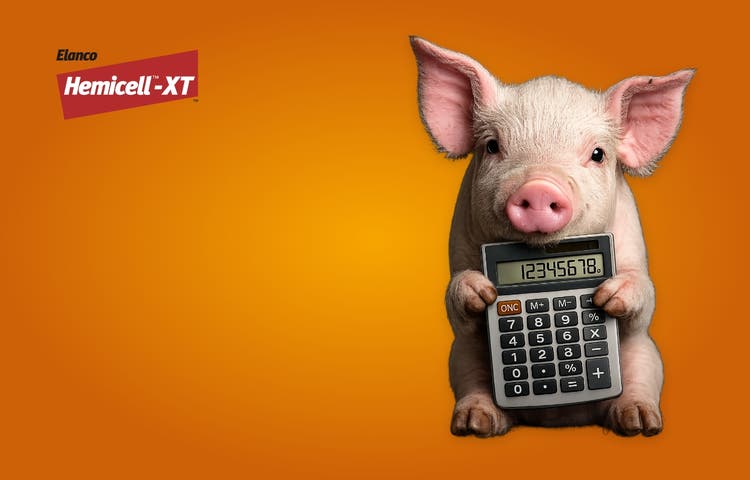 Hemicell pig holding calculator
