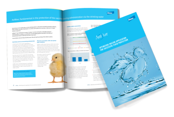 Aviblue Brochure