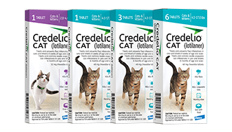 Four boxes of Credelio CAT (lotilaner) packaging. The vertical boxes are color-coded in purple, teal, and blue, and feature photos of different cat breeds and life stages, including kittens and adult cats.