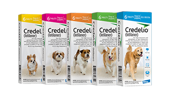 A row of five white Credelio product boxes for dogs containing lotilaner, featuring color-coded weight category bands in yellow, pink, orange, green, and blue, each with distinct dog breed photography.