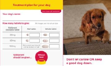 Galliprant 2021 Post Prescription Pet Owner Leaflet