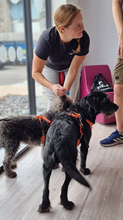 A woman in a black T-shirt kneels beside two dogs wearing orange harnesses inside a bright room with large windows, gently examining one of the dogs while another person stands nearby