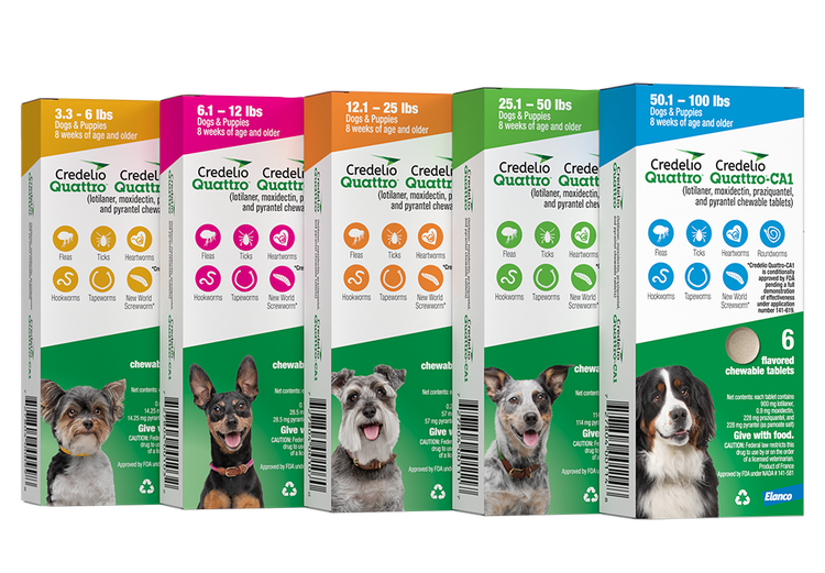 Five weight-coded boxes of Credelio Quattro and Quattro-CA1 for dogs ranging from 4.4 to 100 lbs. Colors include yellow, pink, orange, green, and blue, each featuring a different dog breed.