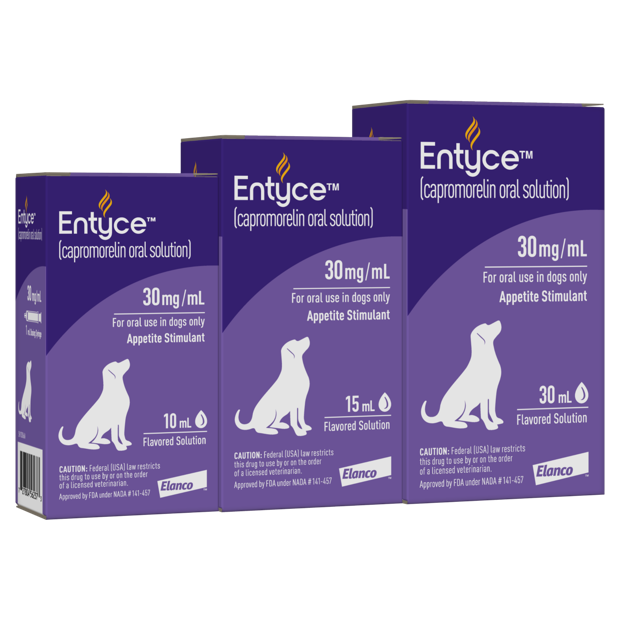 Entyce for dogs hotsell
