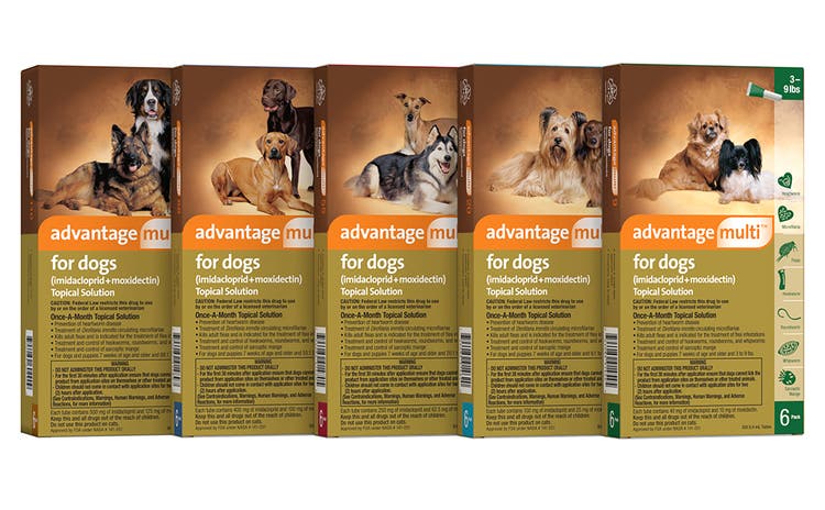 Five weight-coded boxes of Advantage Multi for Dogs. The brown and tan packaging features photos of different dog breeds and provides broad-spectrum protection against fleas, heartworms, and intestinal parasites.