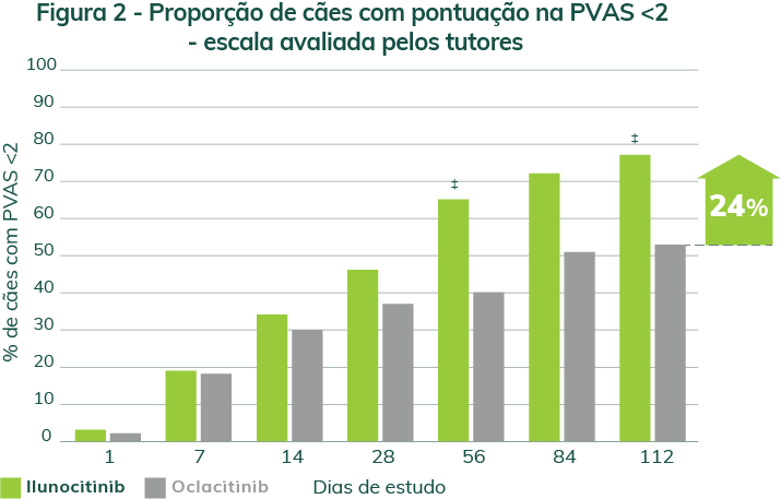 A PVAS é uma ferramenta que auxilia na avaliação do nível de coceira em cães. Trata-se de uma escala linear de ‘0’ a ‘10’ com números mais altos correspondendo à maior gravidade da coceira.