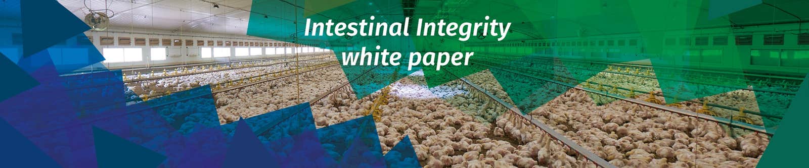 Intestinal Integrity White paper banner