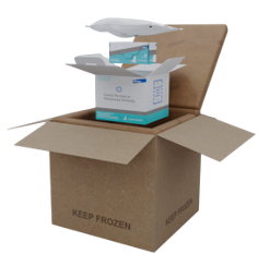 parvo box
