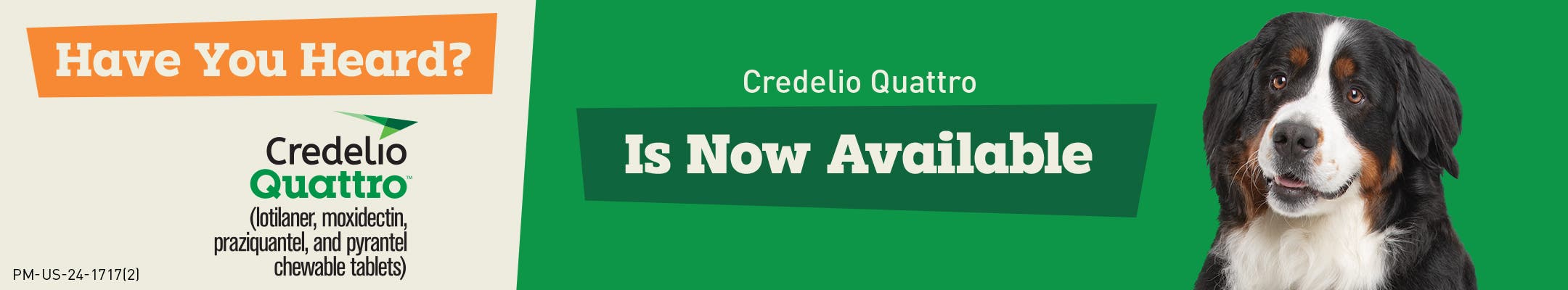 Credelio Quattro Banner