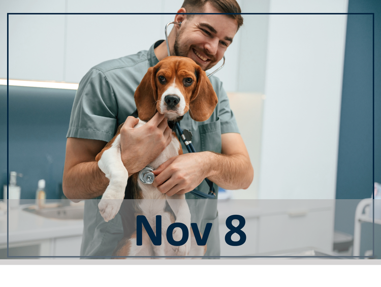 Clinical Updates in Canine Parasitology and Infectious Disease Nov 8 header image