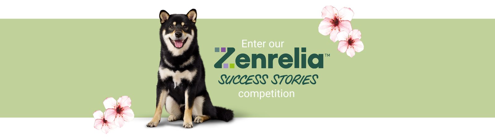 Enter our Zenrelia Success Stories Competition Banner - a dog on a green background with pink blossom