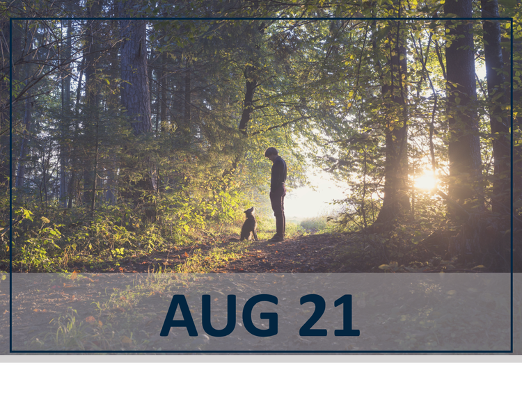 August 21st Reach for Zen! What’s New, What’s Possible for Dogs with Allergic & Atopic Dermatitis