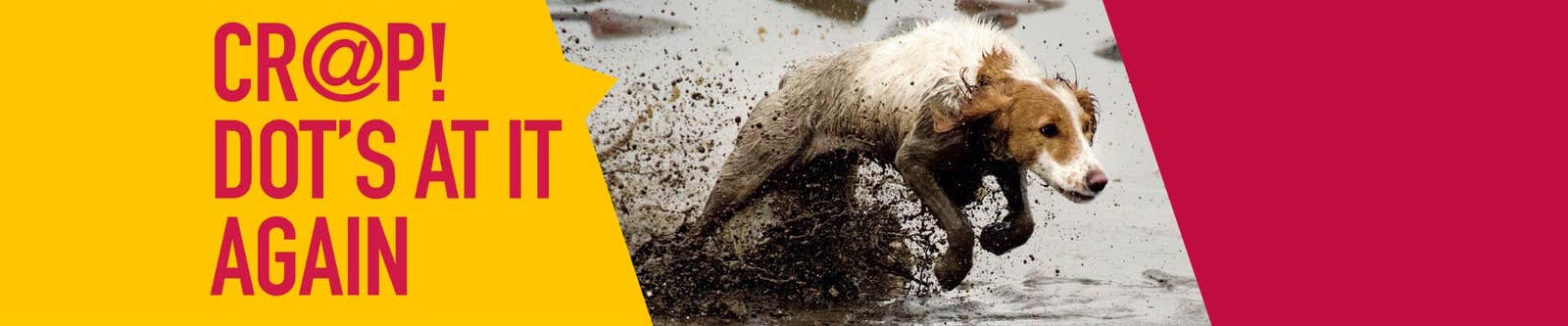Dog jumping out of a river