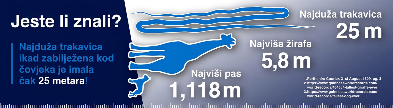Slika primjera veleicine trakavice u usporedbi sa drugimi zivotinjami