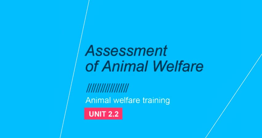 Avaliação do bem-estar animal: Unidade 2.2