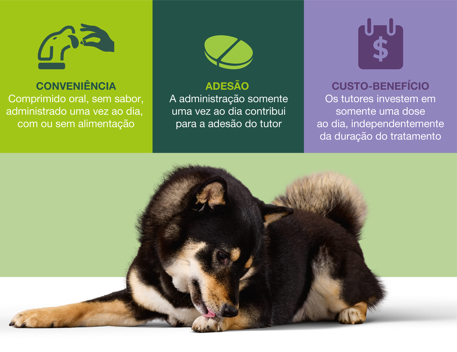 Zenrelia benefícios
