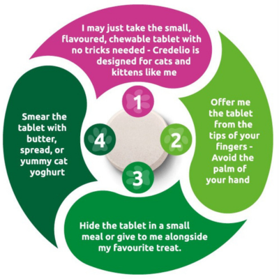 Credelio Cat Dosing Tips Wheel