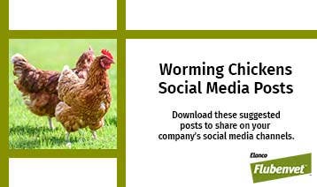 Worming Chickens Social Media Posts Thumbnail