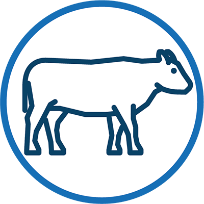 Cattle icon