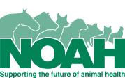 NOAH Logo