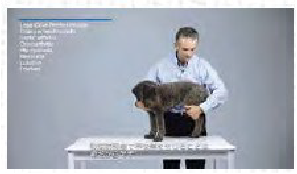 動画サムネイル