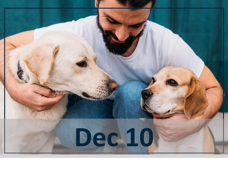 Galliprant webinar dec 10