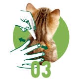 Application Advantage 03