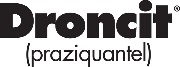 Droncit (praziquantel) logo in bold black text.