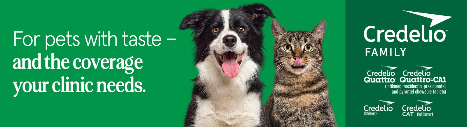 Elanco Credelio Family marketing banner for veterinary clinics featuring a Border Collie and a tabby cat. The text reads 'For pets with taste – and the coverage your clinic needs.' The banner showcases Credelio Quattro, Quattro-CA1, and CAT product logos.