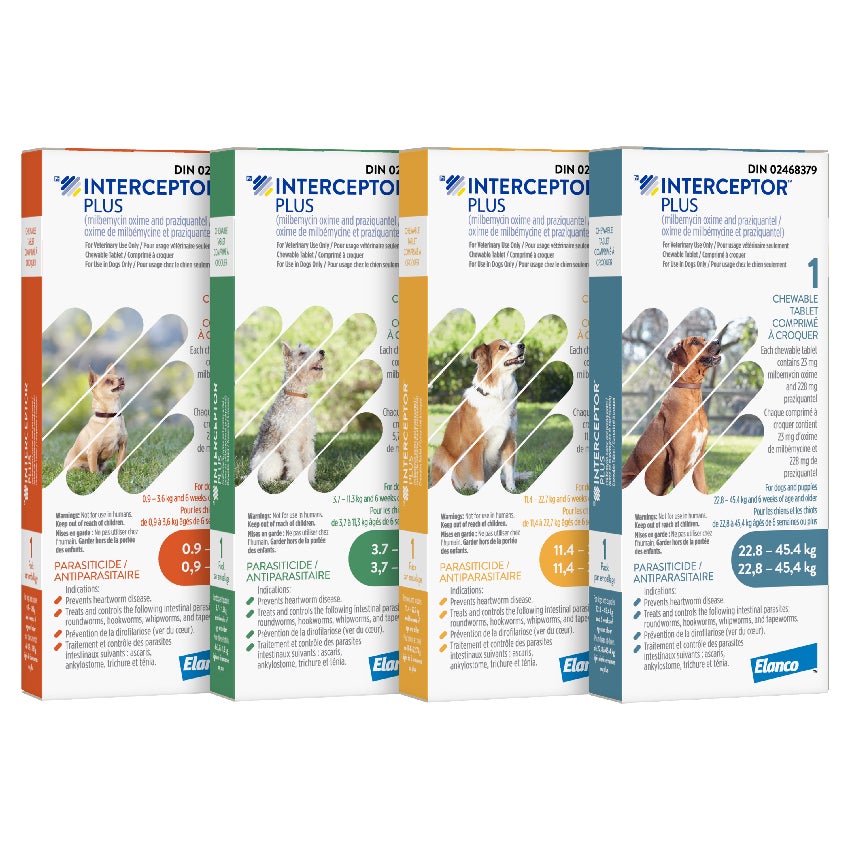 Interceptor® Plus for Dogs — 5-Worm Protection