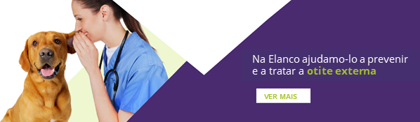 Banner Especialistas em Otite
