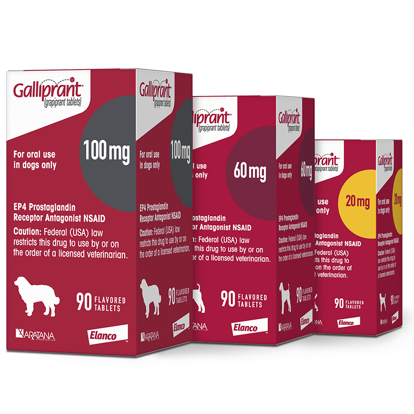 galliprant-targeted-canine-oa-pain-relief
