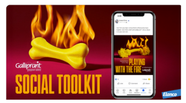 Galliprant Playing with Fire Thumbnail