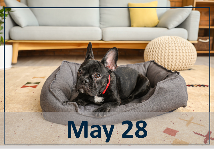 May 28 webinar header image