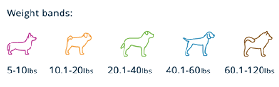 An infographic titled 'Weight bands:'. It displays five line-art dog silhouettes, each in a different color, with a corresponding weight range below it. From left to right: a pink dog for 5-10 lbs, an orange dog for 10.1-20 lbs, a green dog for 20.1-40 lbs, a blue dog for 40.1-60 lbs, and a brown dog for 60.1-120 lbs.